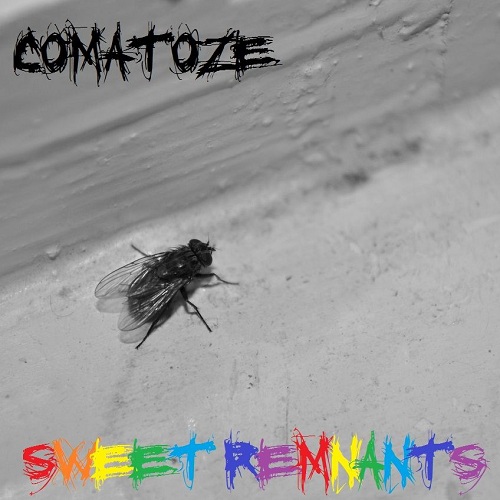 ComatoZe - I Hate Boyfriend My Ex-Girlfriend (Single) (2012)