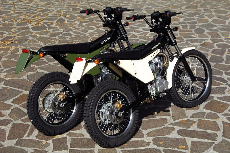 Мотоцикл Borile Multiuso 2013