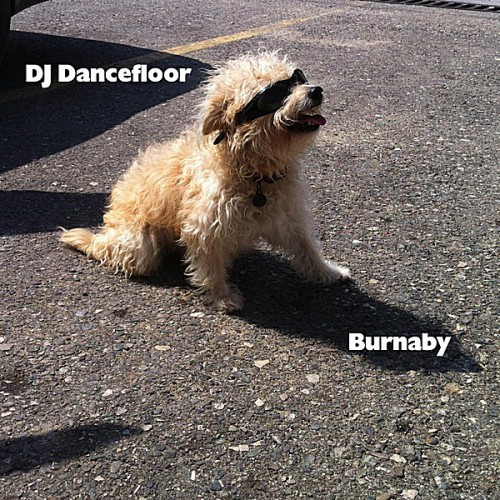 DJ Dancefloor - Burnaby (2012)