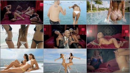 Pitbull ft. TJR - Dont Stop The Party (2012)