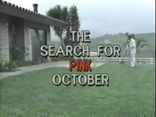 Search For Pink October /     (Scotty Fox, Executive Video) [1990 ., All sex,Classic, DVDRip]