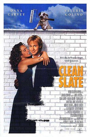Стерлось из памяти (Чистая страница) / Clean Slate (1994 / DVDRip)