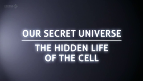Внутренняя Вселенная: Тайная жизнь клетки