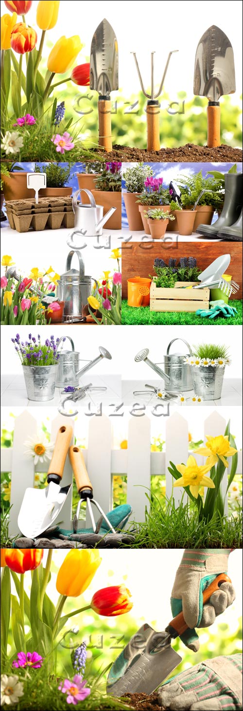 / Gardening - Stock photo