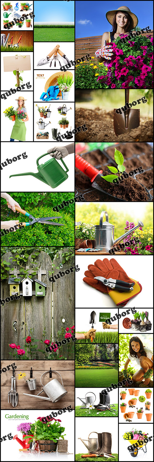 Stock Photos - Gardening