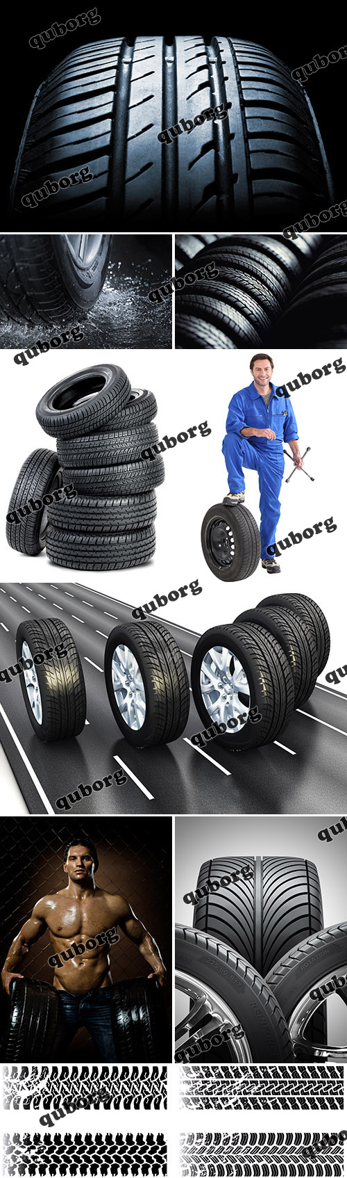Stock Vector - Wheel & Tires