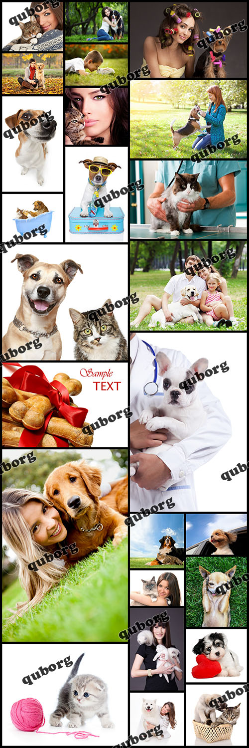 Stock Photos - Love To Pets
