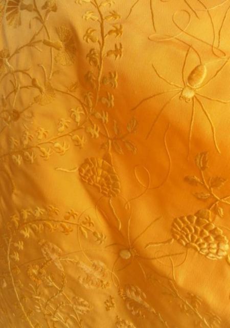  Золотое платье из паутины паука-кругопряда