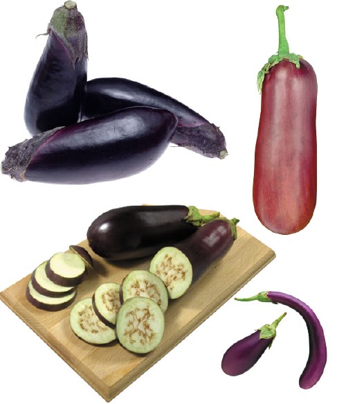 Фотосток: овощи - кабачки, баклажаны, кабаки, сининькие