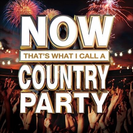 Now Thats What I Call A Country Party (2013)