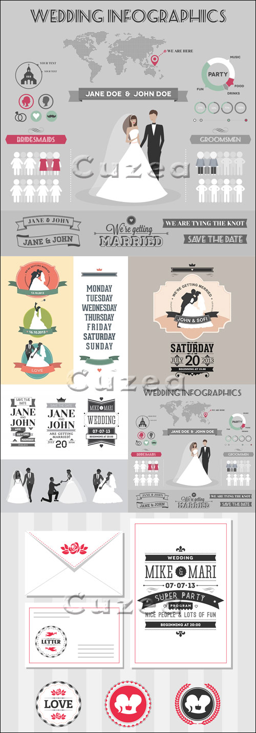      / Wedding infografic and vintage elements in vector