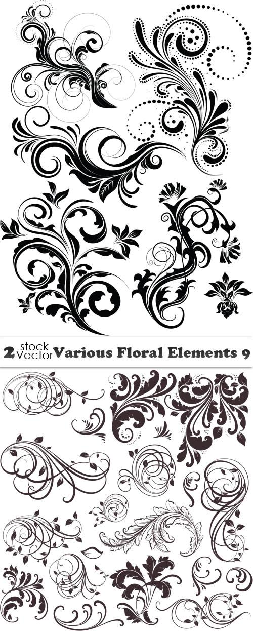  Vectors - Various Floral Elements 9