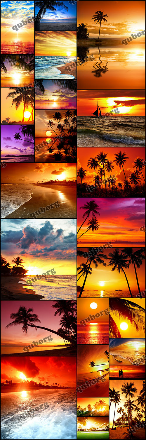 Stock Photos - Tropical Sunset