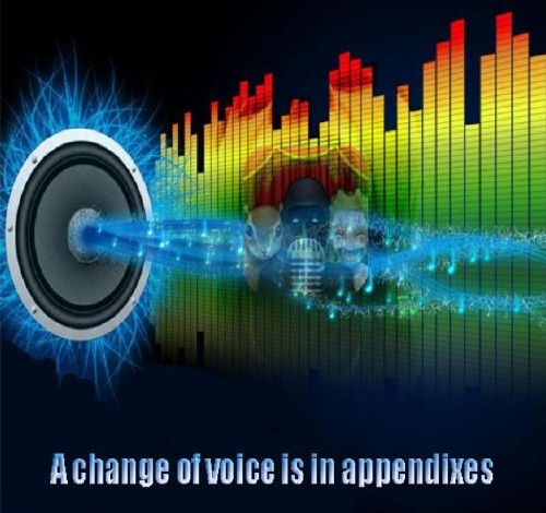 A change of voice is in appendixes