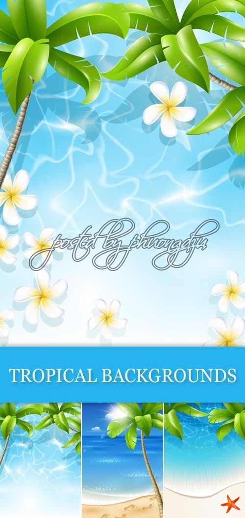 Tropical Backgrounds Vector 6