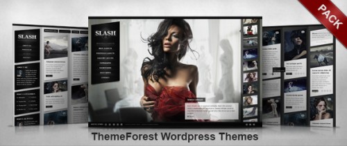 ThemeForest Wordpress Tema Paketi