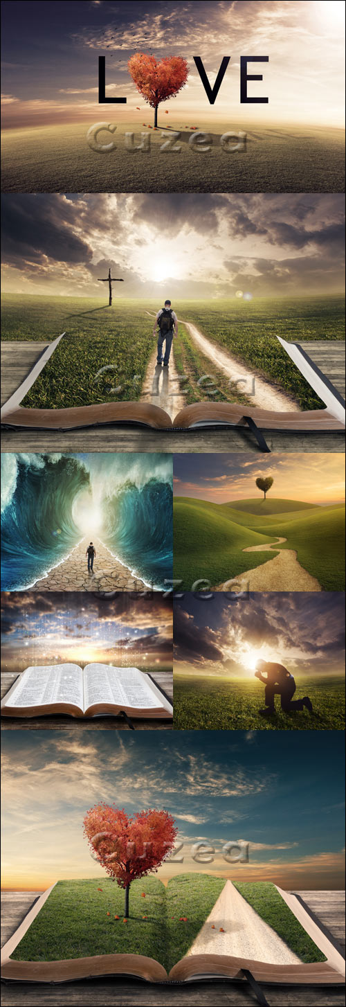       / Creative tree heart and  book on hill - stock photo