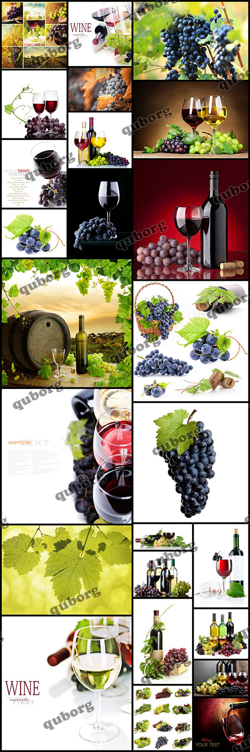 Stock Photos - Wine and Grapes