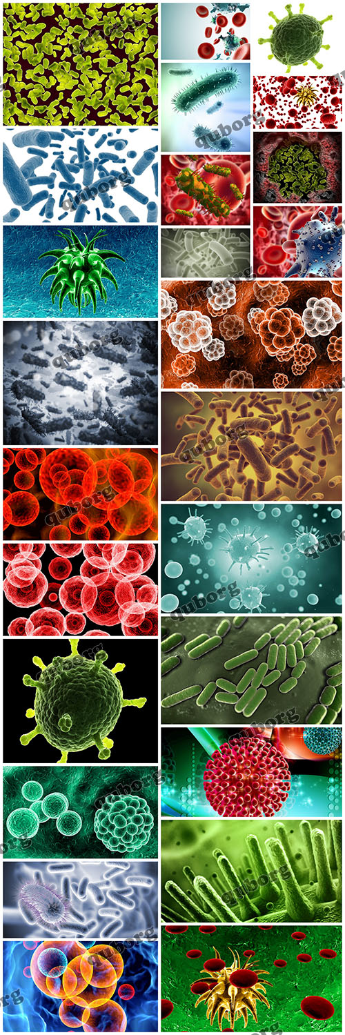 Stock Photos - Microorganisms and Viruses Part 2