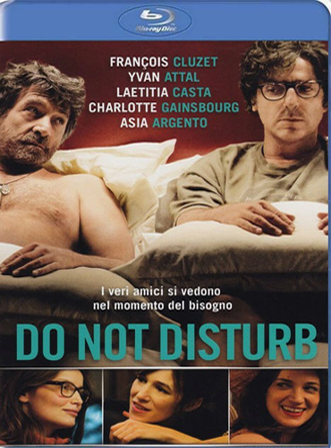 Не входить, мы не одеты / Do Not Disturb (2012) HDRip