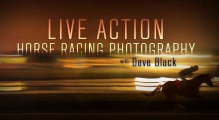 Kelby Training - Live Action Horse Racing Photography