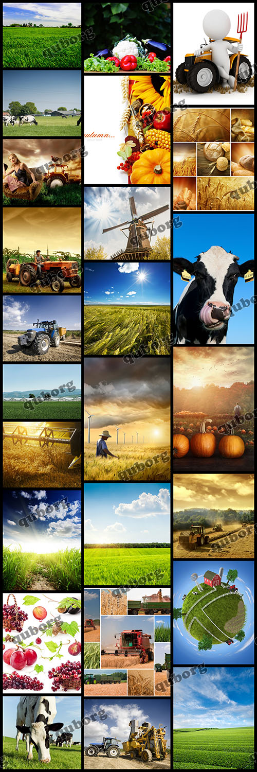 Stock Photos - Farming And Agriculture - reup