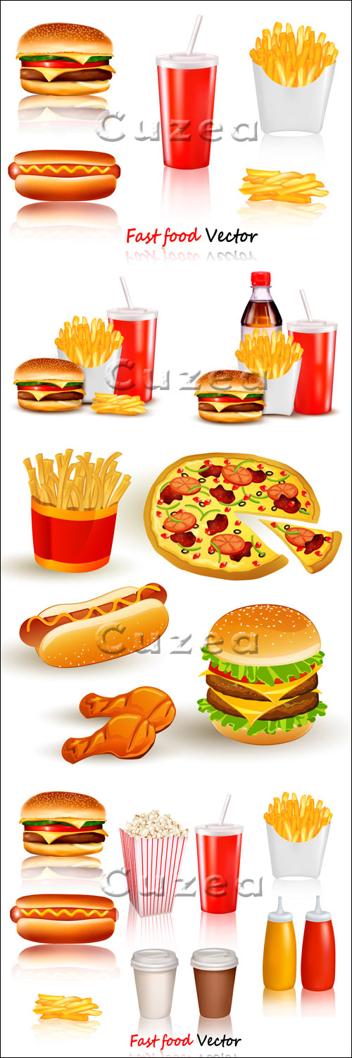 - / Fast food - vector stock