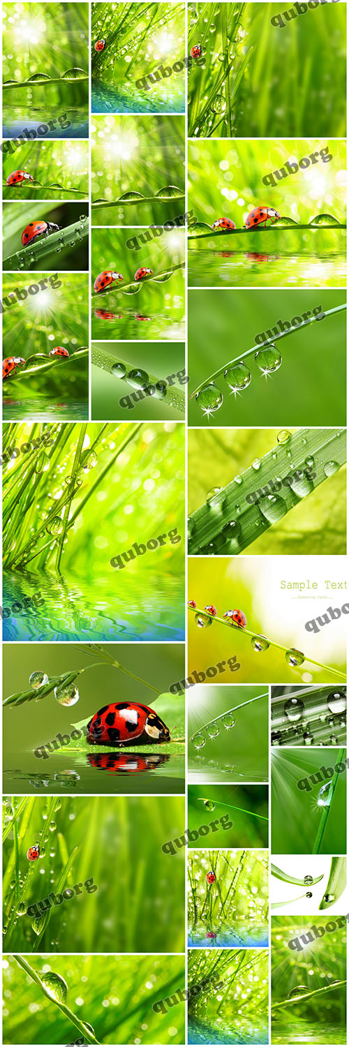 Stock Photos - Drops ON The Nature Part 3