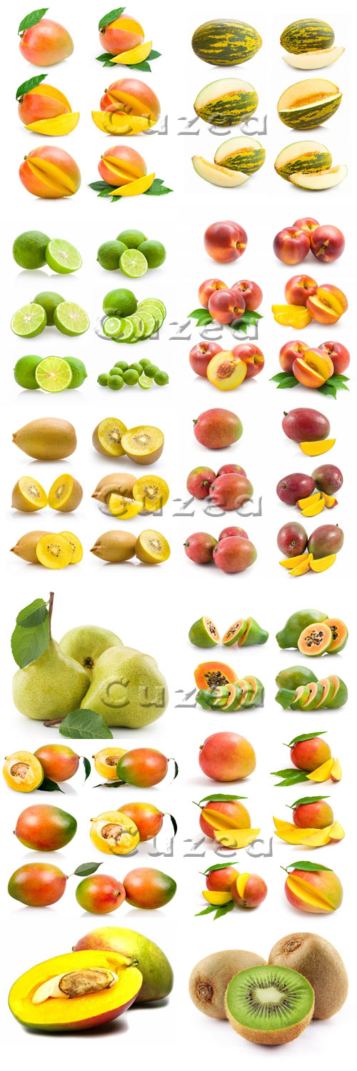      / Different fruit on white background - stock photo