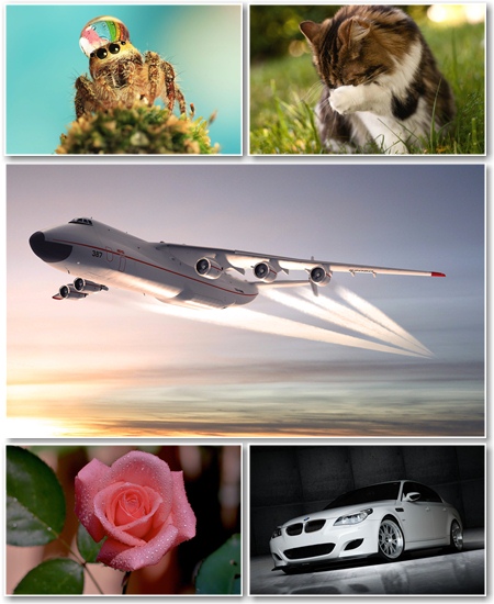 Best HD Wallpapers Pack №953