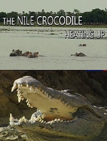 Нильские крокодилы. Пережившие фараонов (2011) SATRip