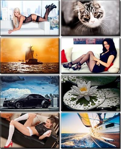LIFEstyle News MiXture Images. Wallpapers Part (207)