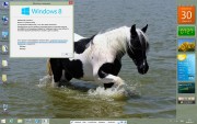 Windows 8 Enterprise x86 v.30.06 by DDGroup (RUS/2013)