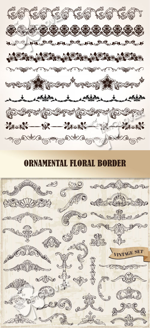 Ornamental floral border 0434