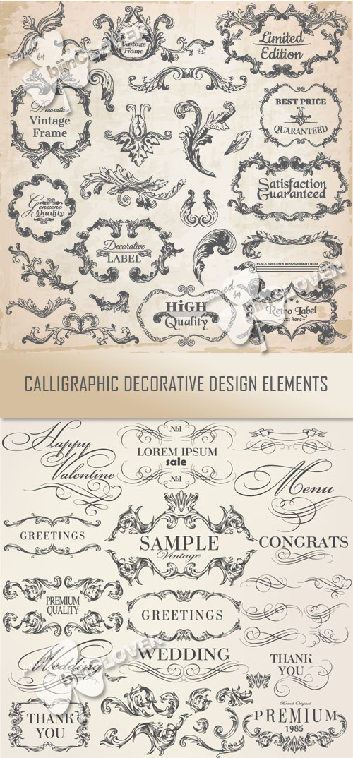 Calligraphic decorative design elements 0436