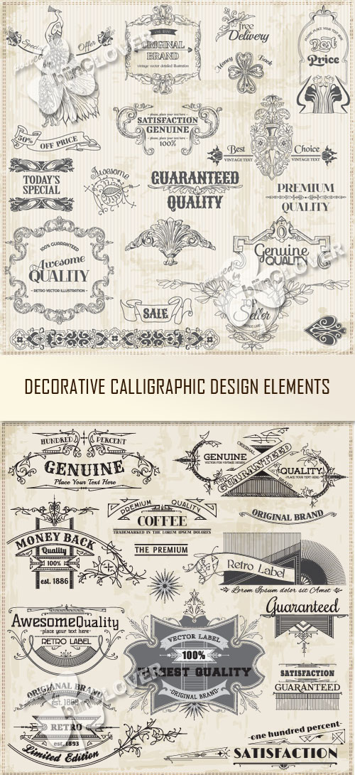 Decorative calligraphic design element 0437