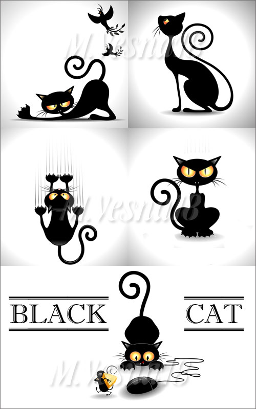 ׸ ,    ,   / Black cat, vintage on a white background, in the vector