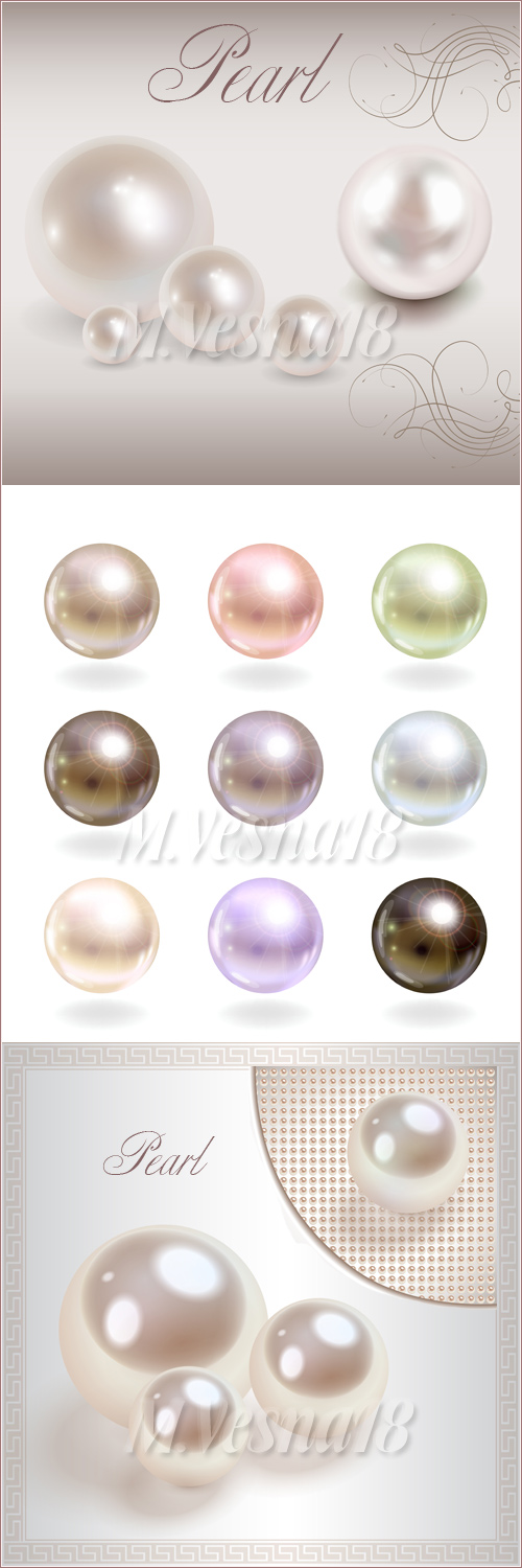     ,  /Precious pearls on a white background, in the vector