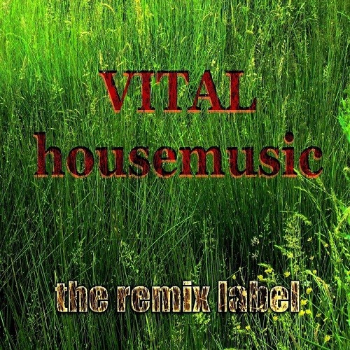 Vital Housemusic (Hot Various Artists Proghouse Music Compilation) (2013)