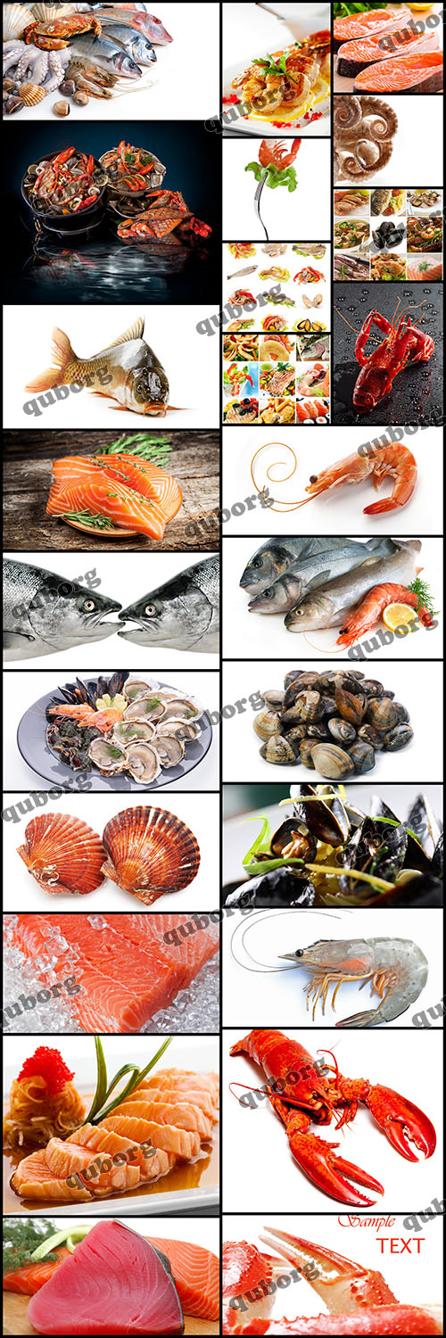 Stock Photos - Fish & Seafood - 25 JPG