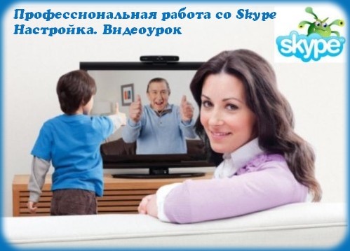 Профессиональная работа со Skype. Настройка. Видеоурок (2013) MP4