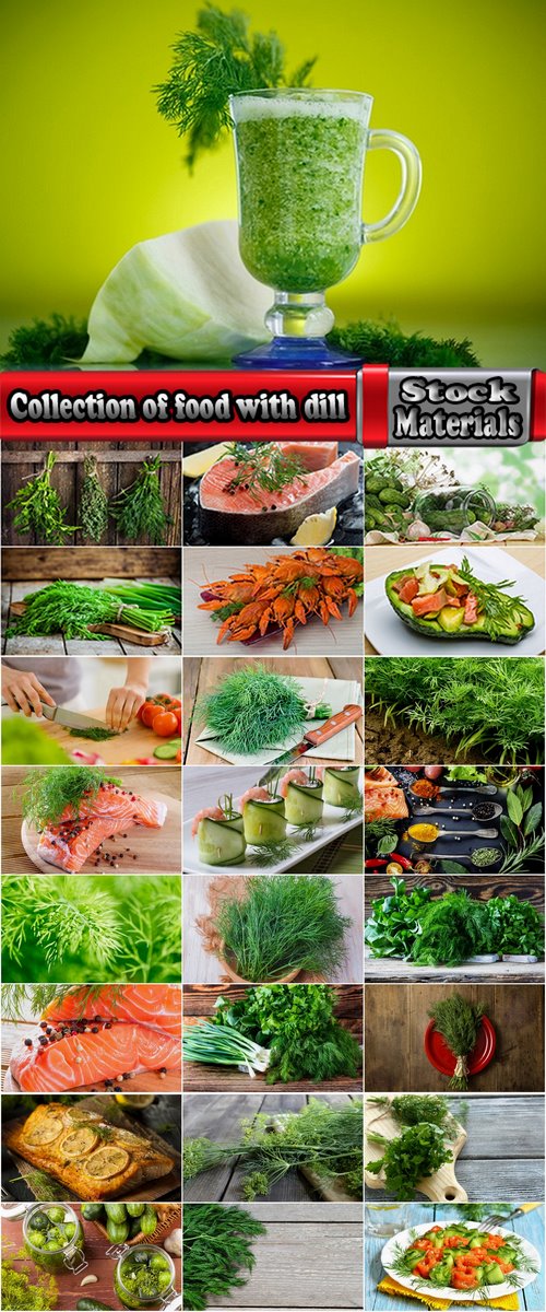 Collection of food with dill fennel greens different food  25 HQ Jpeg