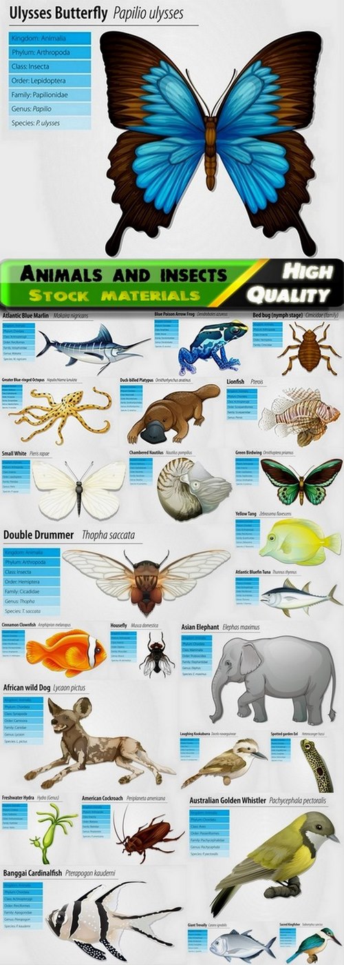 Marine and wild animals and insects - 25 Eps