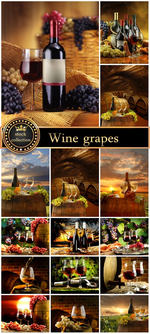 Wine, grapes, nature - stock photos