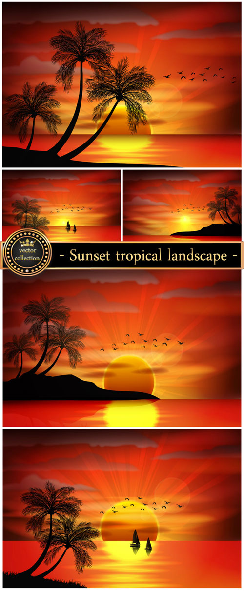 Sunset, vector tropical landscape