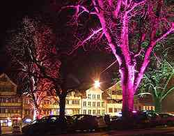 Подсветка деревьев светодиодными прожекторами