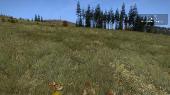 DayZ Standalone (2013/RUS/ENG/RePack by FABIS)