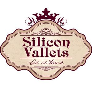 Silicon Vallets - Лети, Лети! [New Track] (2013)