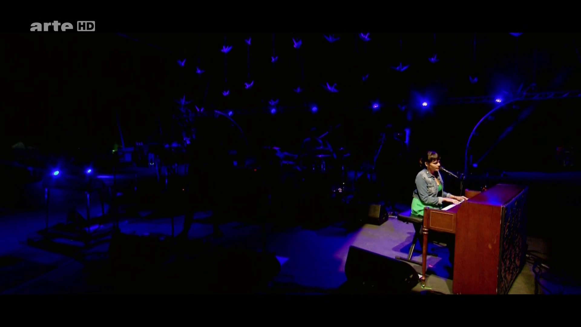 2012 Norah Jones - at We Love Green Festival [HDTV 1080i] 2