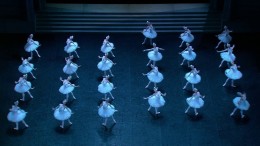      / The Blu-Ray Experience: Opera & Ballet Highlights (2008) BDRip-AVC